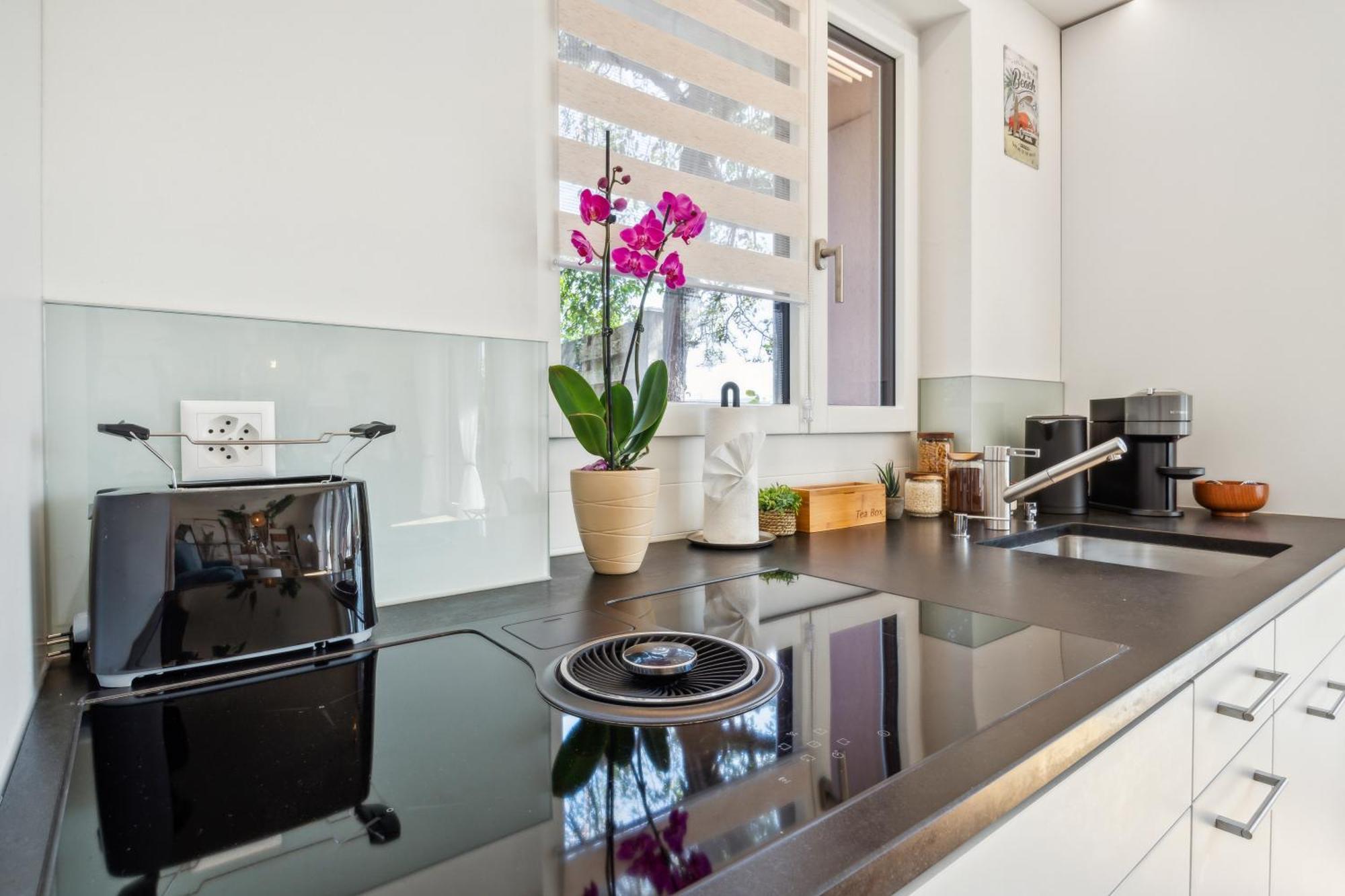 Business I Family Apartment I 1-4 Personen - Aare Blick, Nahe Altstadt I Beamer - 99" Leinwand I Terrassen Lounge Und Parkplatz Brugg  Exterior photo